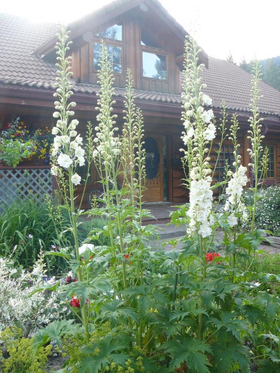 Hitching Post Resort Kelowna Pokój zdjęcie