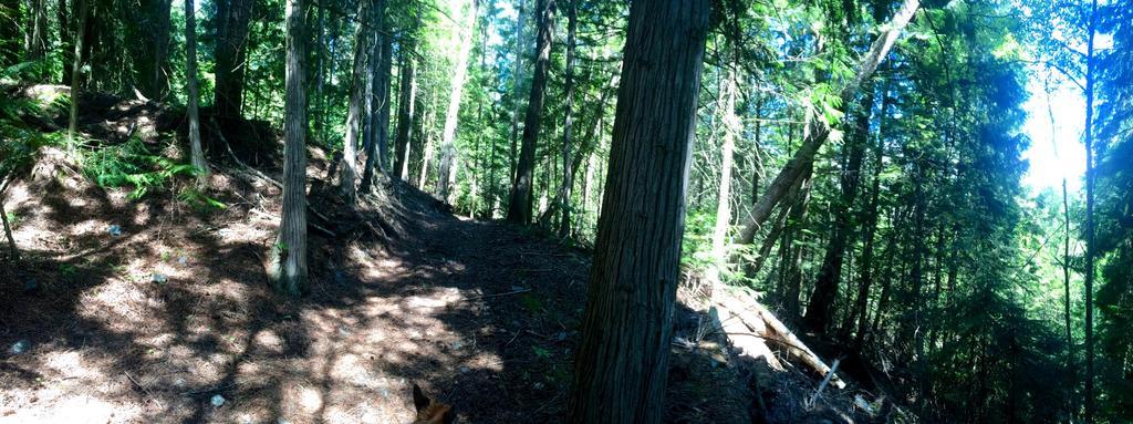 Hitching Post Resort Kelowna Zewnętrze zdjęcie