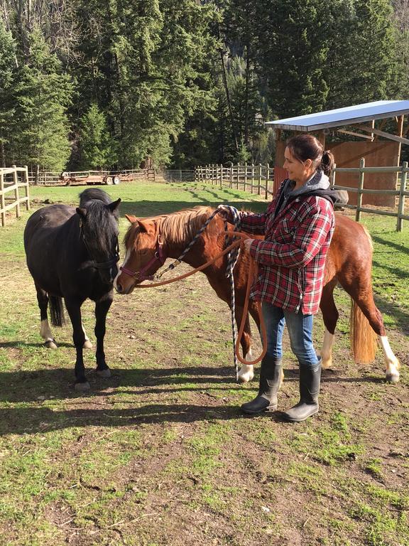 Hitching Post Resort Kelowna Zewnętrze zdjęcie